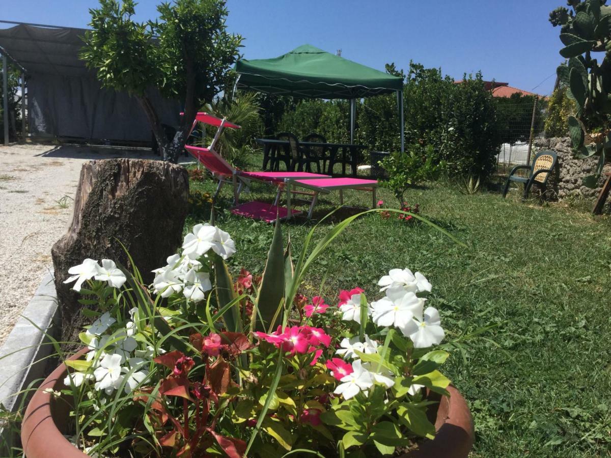Villa "La Rondinella" Salerno Amalfi Pontecagnano Faiano Exterior foto